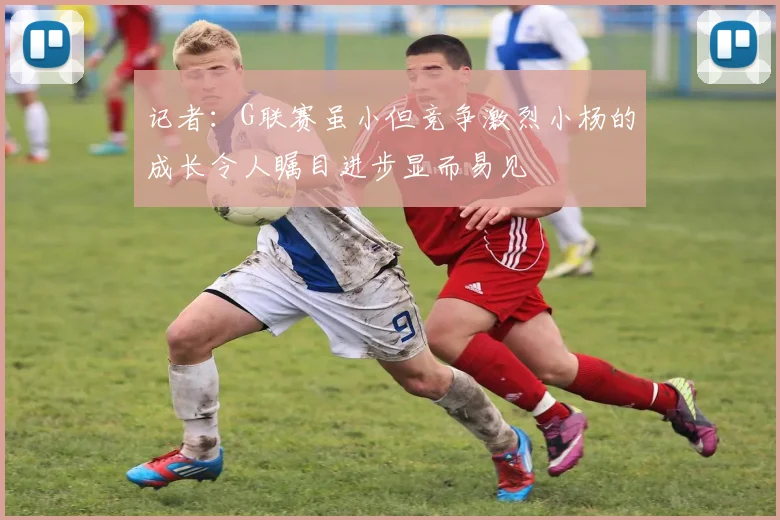 记者：G联赛虽小但竞争激烈小杨的成长令人瞩目进步显而易见